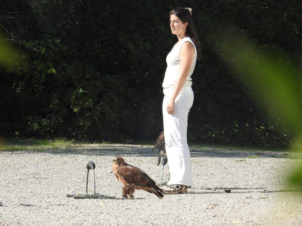 Training persoonlijke ontwikkeling en leiderschap - 4-daagse in Spanje met Rebird