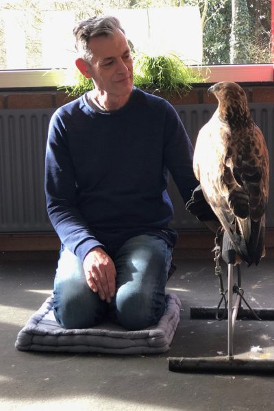 Docent in training met roofvogels